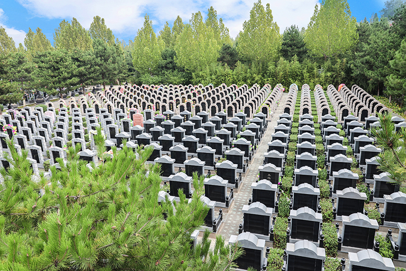 深度解读灵山宝塔陵园：环境、风水与服务亮点