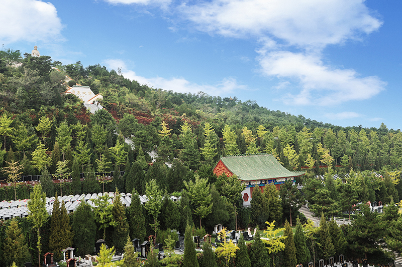 灵山宝塔陵园环境与风水解析，墓型多样尽显人文关怀（400 - 040 - 4090）